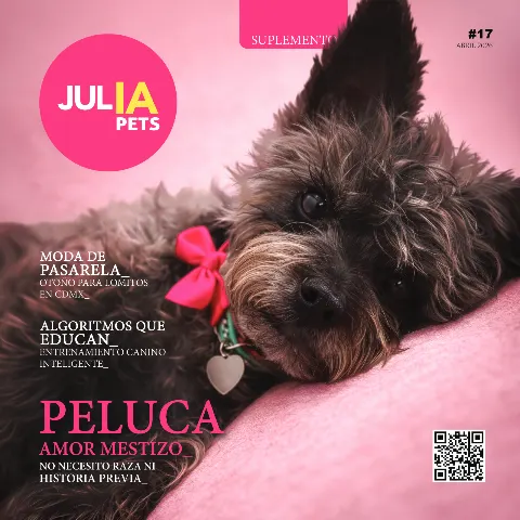 Portada de JulIA · Suplemento Abril 2026